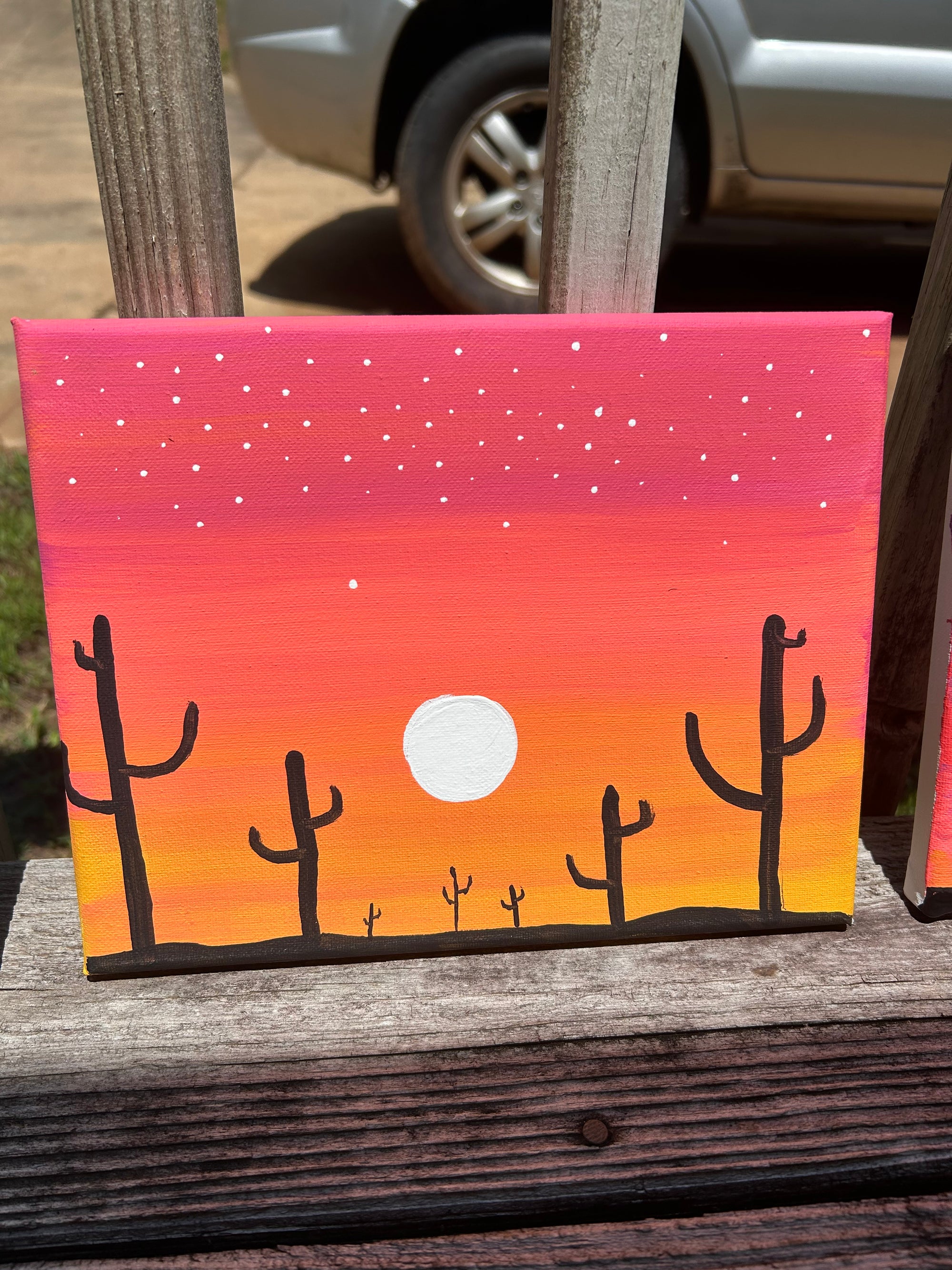 cactus sunset