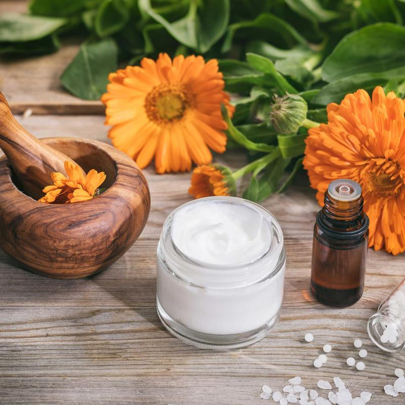 LUSH&DEW the Forgotten Apothecary Seed Chest - 40 Varieties of Non-Gmo Medicinal Herb Seeds in Elegant Wooden Display Box for Gardening Enthusiasts