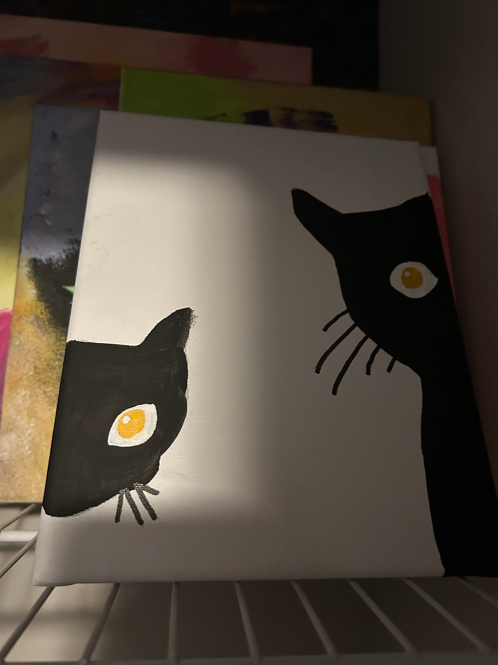 black cats